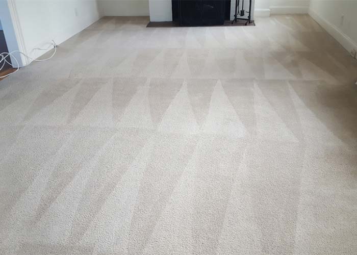 kettering carpet cleaners